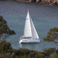 CRUISER 32
