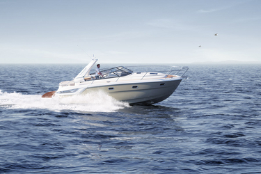 Bavaria Sport 31